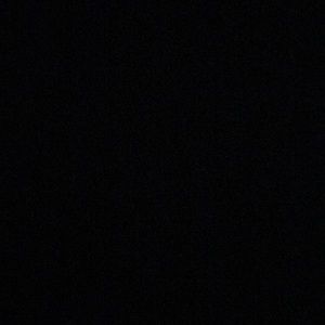 Meet your Posher, Maddie